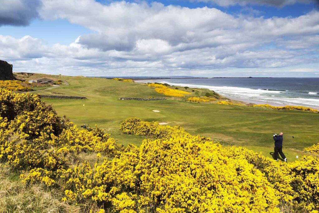 Bamburgh Castle The Borders and Northumberland